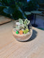 Succulent Arrangement Terrarium (多肉植物) in Crystal Glass