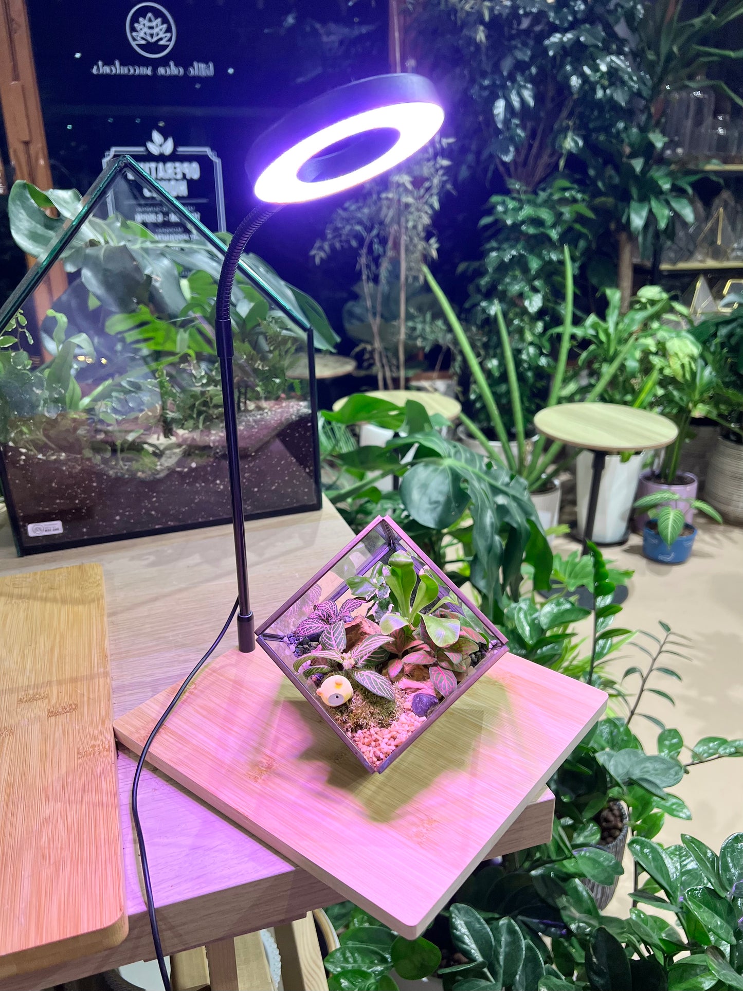 Growlight Model 2220