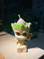 Stephania (山乌龟) in Groot Pot
