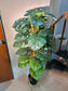 Artificial Monstera Deliciosa (龟背竹) in Black Polymer Pot