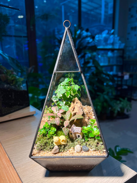 Fittonia, Ficus Pumilla with Moss Arrangement in Pyramidal Glass Terrarium