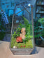 Indoor Plant Arrangement Pumila & Fittonia & Fern (薜荔 & 网纹草 & 蕨类) in Black Frame Polygonal Slim Glass with Lid