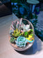 Succulent Arrangement in Slanted Glass Terrarium (L)