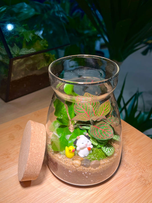 Fittonia and Fern with Moss Arrangement in Cover A-Line Jar Glass
