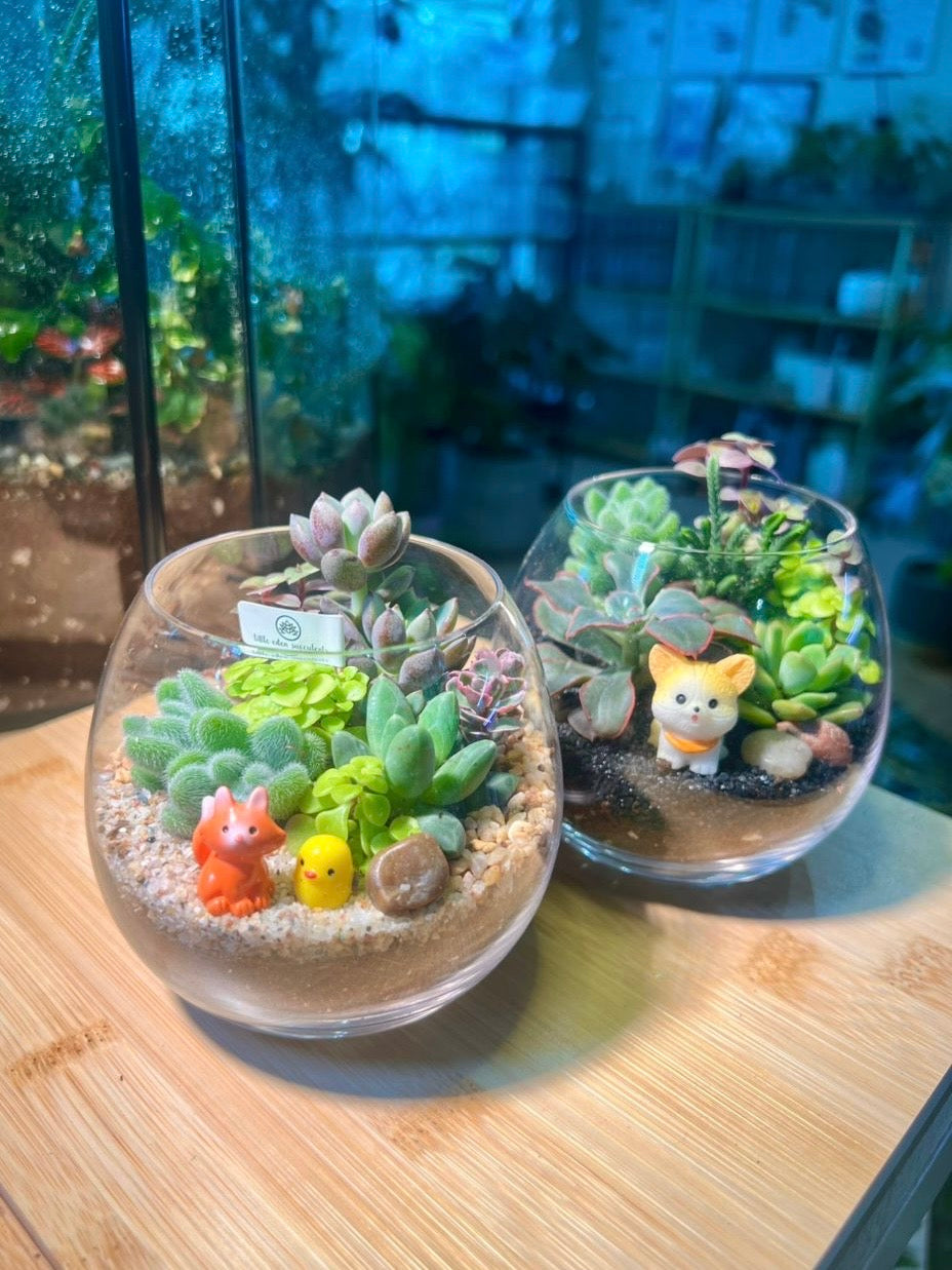 Succulent Arrangement in Crystal Glass Terrarium