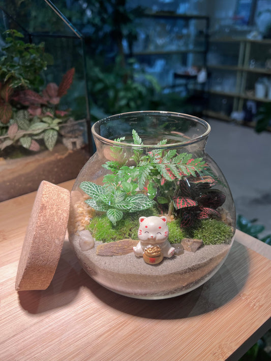 Fittonia and Fern with Moss Arrangement in Round Covered Glass Terrarium (M)