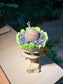 Stephania (山乌龟) in Groot Pot