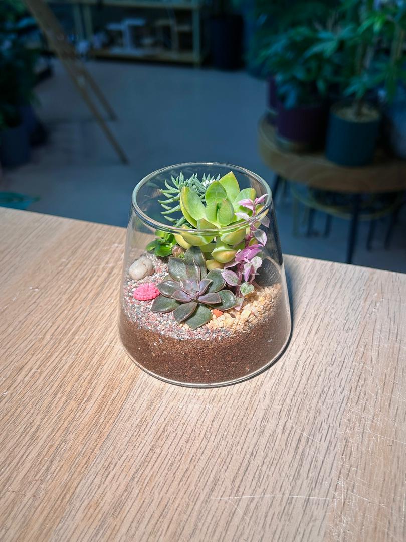 Succulent Terrarium in Fuji Glass