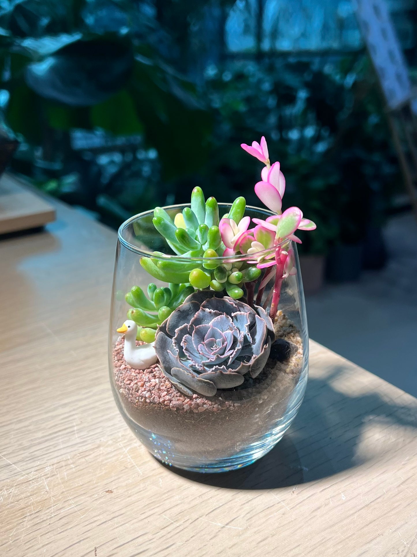 Succulent Terrarium in Tall Glass
