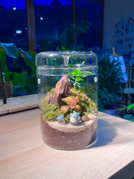 Indoor Plant Terrarium in Tall Round Cylindrical Glass