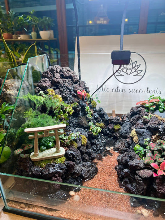 Customade Indoor Plant Arrangement in Serene Forestscape with Waterfall Paludarium Setup