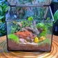 Fittonia and Fern with Moss Arrangement in Black Frame Glasshouse (S)
