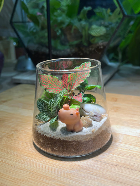 Fittonia Arrangement in Fuji Glass