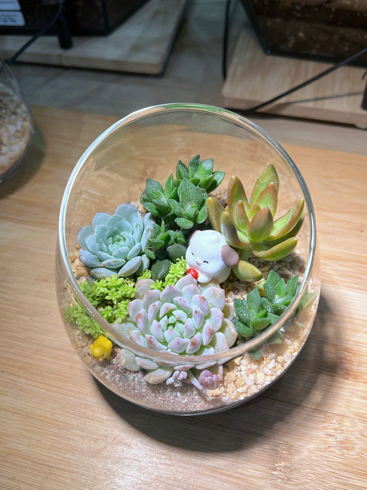 Succulent Arrangement in Slanted Glass Terrarium