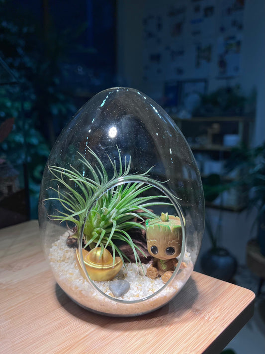 Airplant in Eggette Glass with Groot Figurine (M)