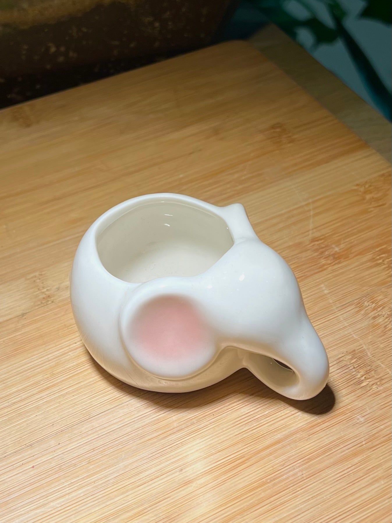 Elephant with Pinkish Ear Ceramic Pot