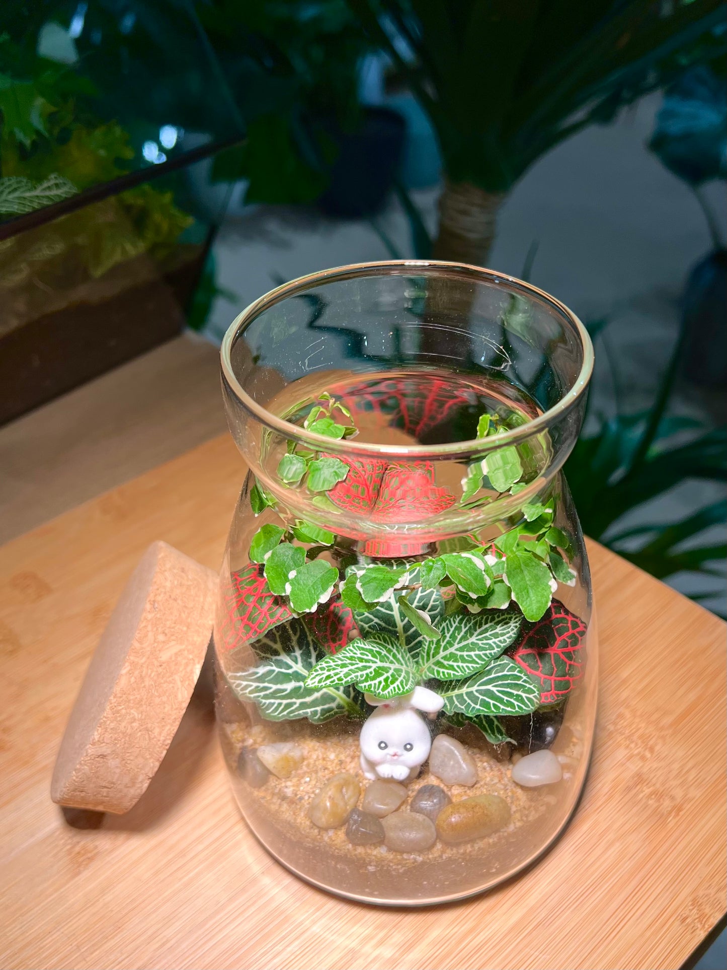 Fittonia and Ficus Pumila Arrangement in Cover A Line Jar Glass