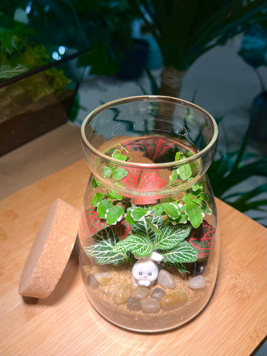 Fittonia and Ficus Pumila Arrangement in Cover A Line Jar Glass