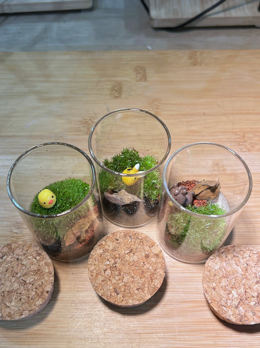 Moss Arrangement in Tall Cylindrical Glass (S)