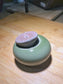 Lithops in Lime Green Eggshell Pot