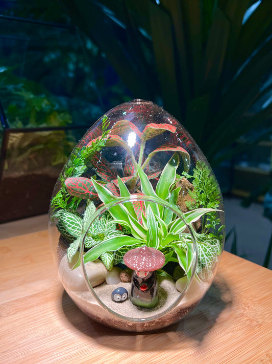 Fittonia with Spider Plant Arrangement in Eggette Glass (M)
