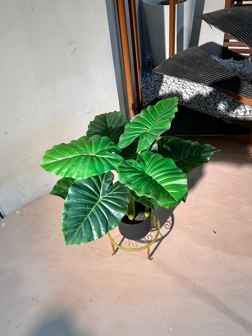 Artificial Elephant Ear Plant (象耳芋) in Black Polymer Pot