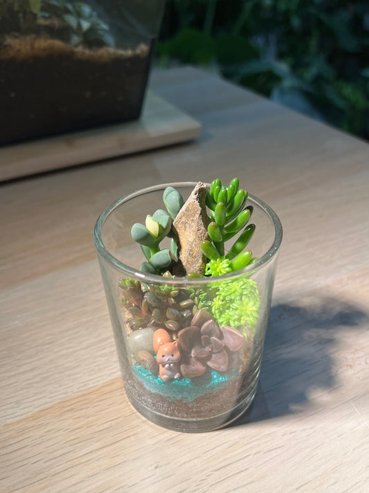 Succulent Arrangement in Cylindrical Glass Terrarium