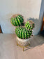 Artificial Cactus (仙人掌) in Woven Basket Pot