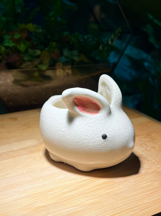 Cutie Rabbit Puzzle Type Ceramic Pot