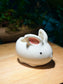 Cutie Rabbit Puzzle Type Ceramic Pot
