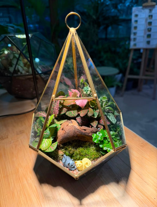 Indoor Plant Terrarium in Diamond Glass (S)