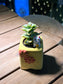 Crassula Perforata with Fortune Cute Cat in Matt Textured Claypot