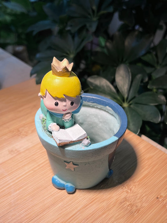Knowledgeable Little Prince Claypot