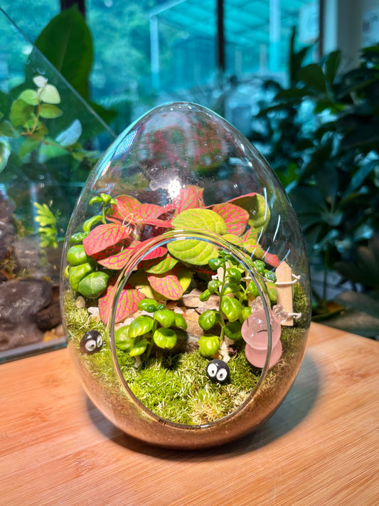 Indoor Plant in Egg Glass Terrarium 🐰🪺
