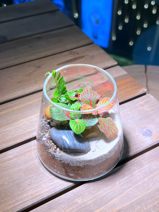 Fittonia & Fern Arrangement with Labubu Figurine in Fuji Glass Terrarium