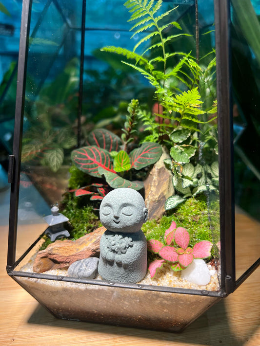 Fittonia and Fern with Moss Arrangement in Black Frame Polygonal Slim Glass with Lid (Zen Monk)