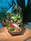 Mini Garden with Cow and Mushroom: Indoor Plant Arrangement in Golden Frame Polygonal Terrarium Glass