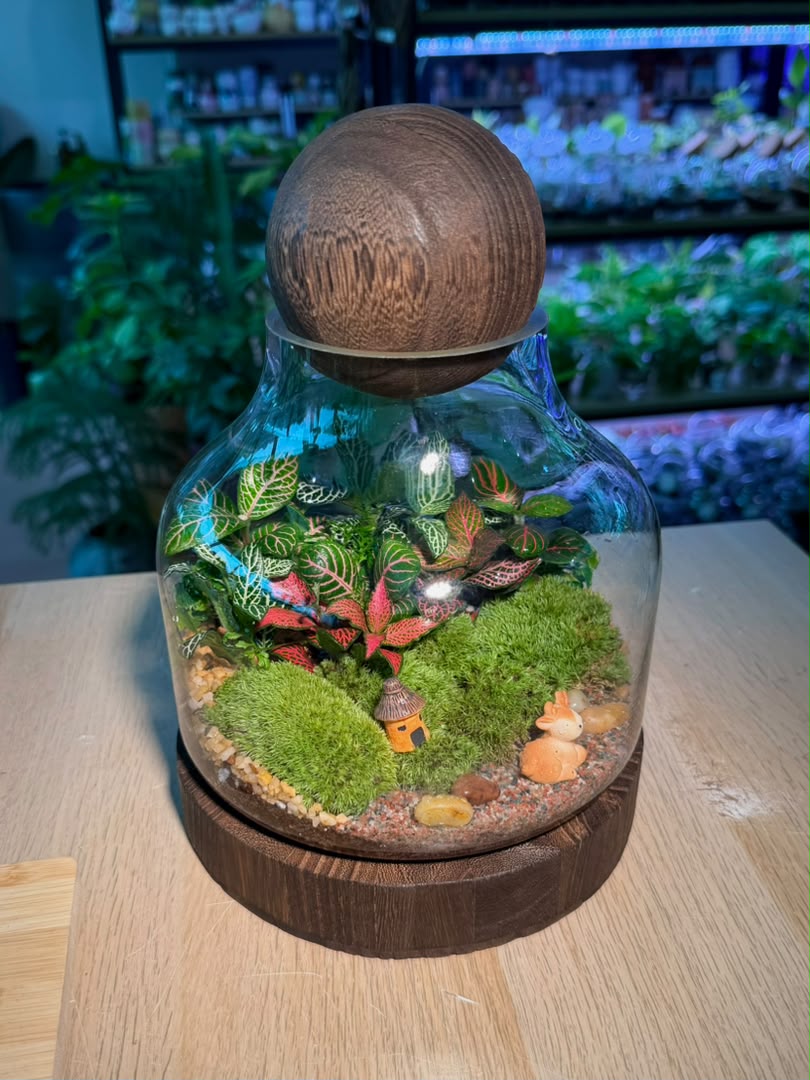 Indoor Plant Arrangement Pumila & Fittonia & Rabbit Fern (薜荔 & 网纹草 & 蕨类) in Wine Glass Glass (M)