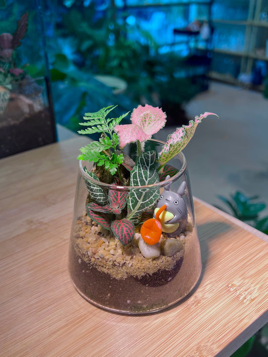 Fittonia and Fern Arrangement in Fuji Glass Terrarium