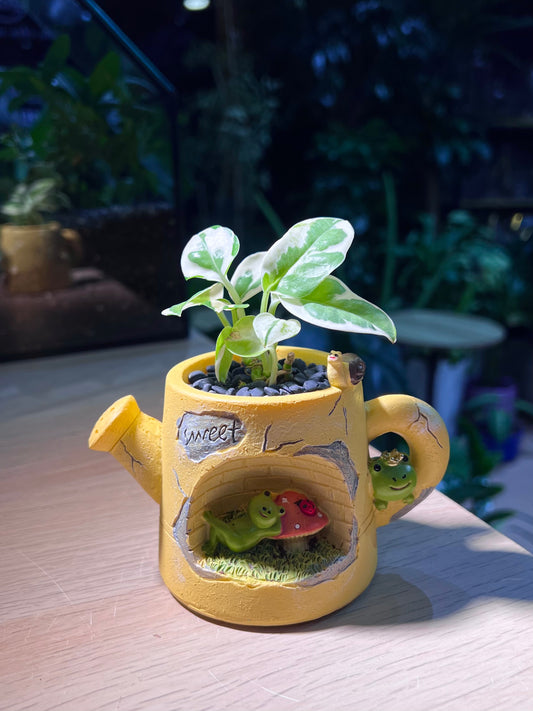 Pothos Njoy (绿萝) in Watering Plant Pot