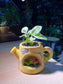 Pothos Njoy (绿萝) in Watering Plant Pot