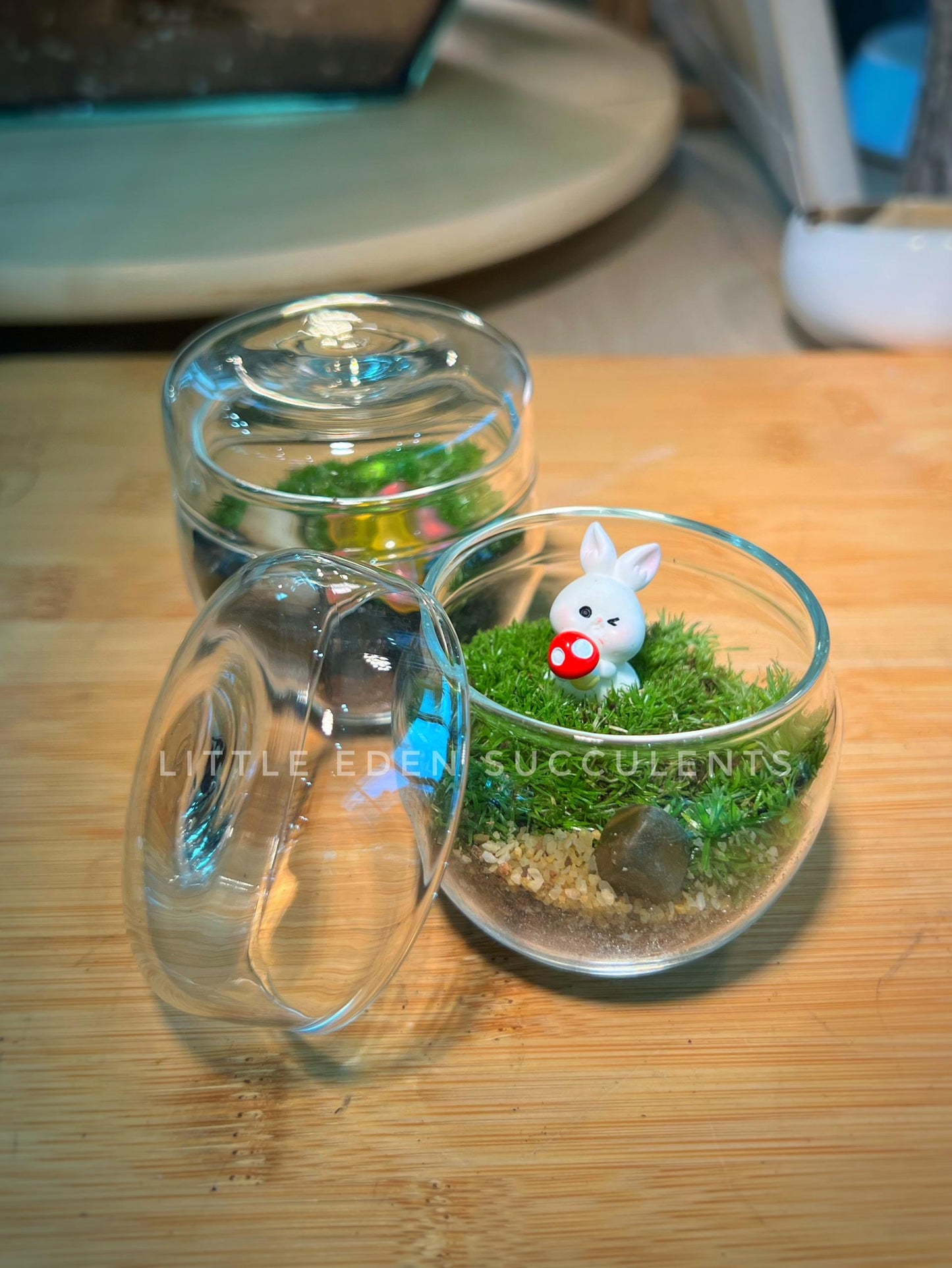 Moss Arrangement in Tea Glass Terrarium