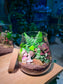 Valentine Gift - Fittonia and Fern with Moss Arrangement in Water Drop Glass with Lid Terrarium (S)