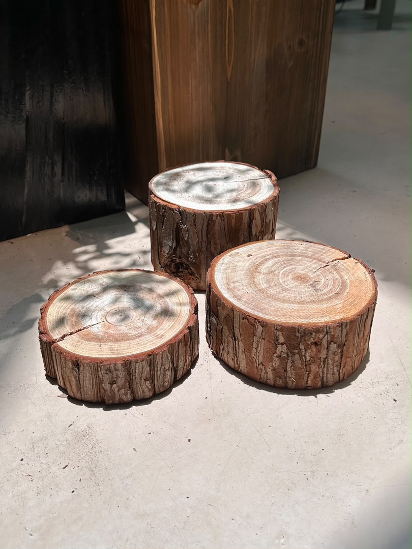 Woodlog Pedestal (原木底座) Natural Wood Stump Display Stand