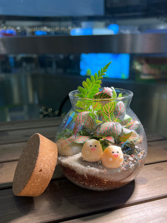 Fittonia & Fern with Moss Arrangement in Round Covered Glass Terrarium