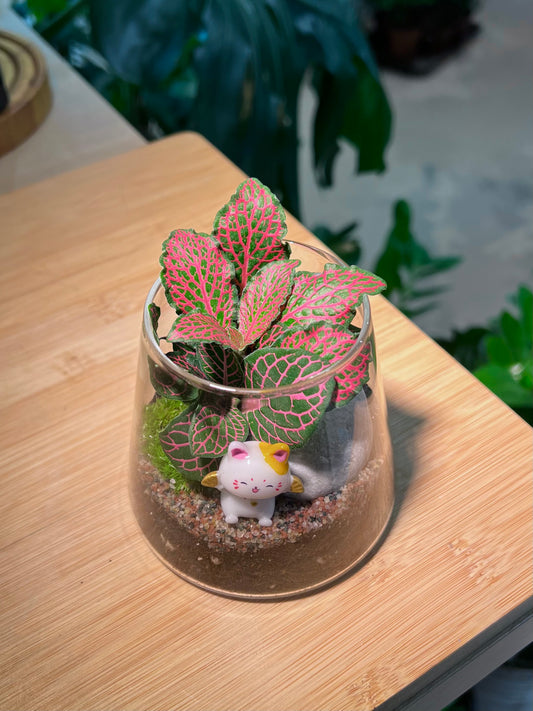 CNY Theme - Fittonia with Moss Arrangement in Fuji Glass Terrarium