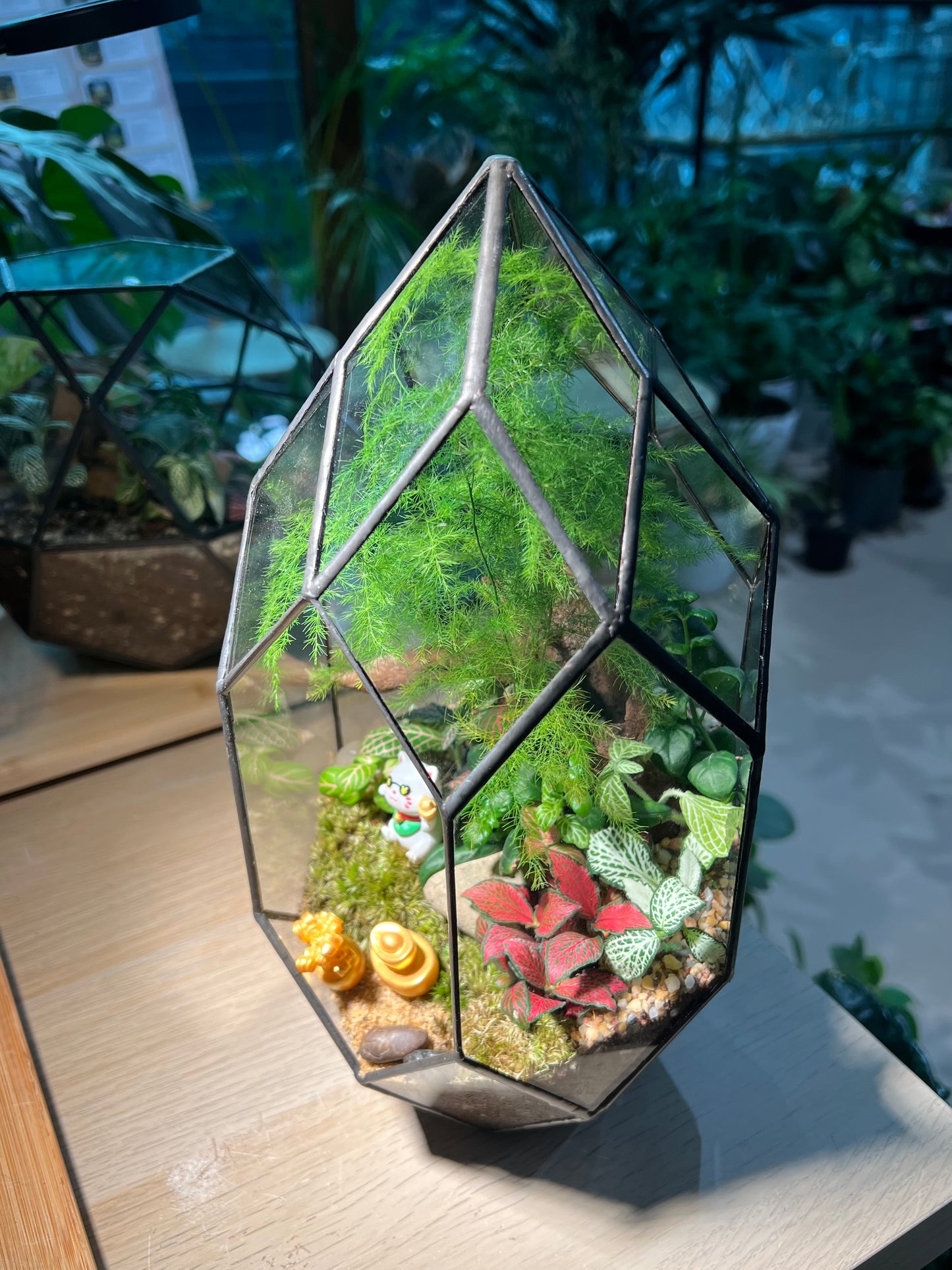 Fittonia, Asparagus Fern with Moss (Indoor Plant) Arrangement in Polygonal Bullet Glass Terrarium