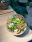 Fittonia, Bubble Plant with Moss (Indoor Plant) Arrangement in Fishbowl with Lid Terarrium