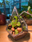 Fittonia & Fern with Moss Arrangement in Diamond Glass Terrarium (S)