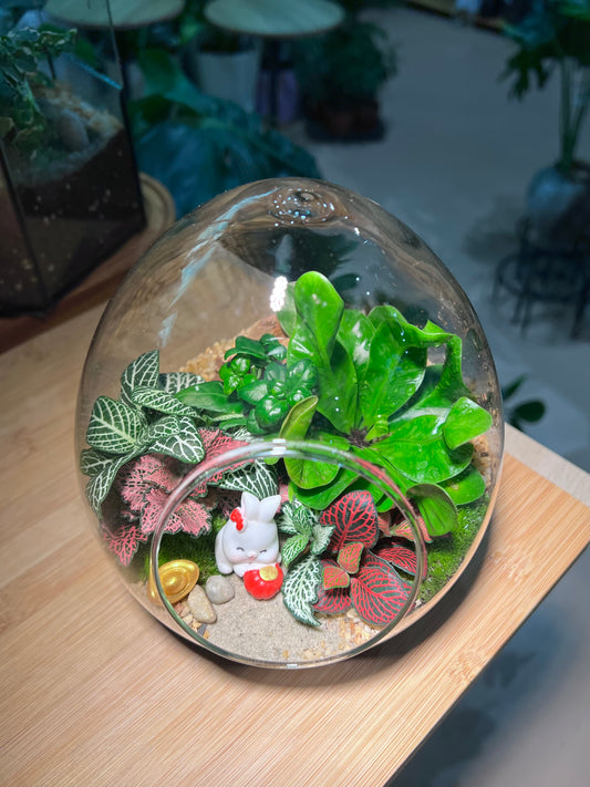 Fittonia and Bird Nest Fern with Moss Arrangement in Eggette Glass (L)